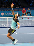 Rafael Nadal, David Ferrer
