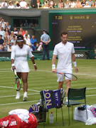 Serena Williams, Andy Murray
